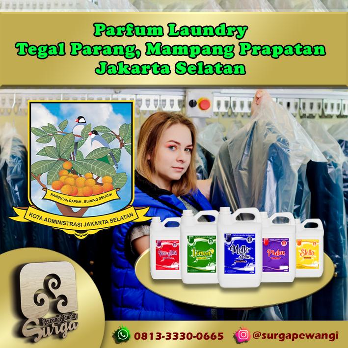 Parfum Laundry Tegal Parang, Mampang Prapatan