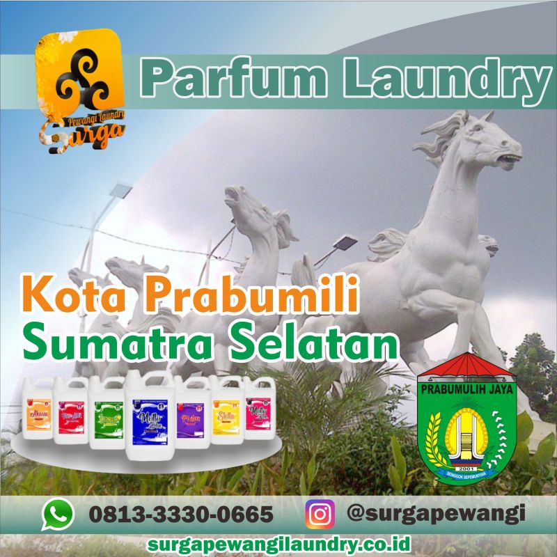 Parfum Laundry Kota Prabumili, Sumatra Selatan