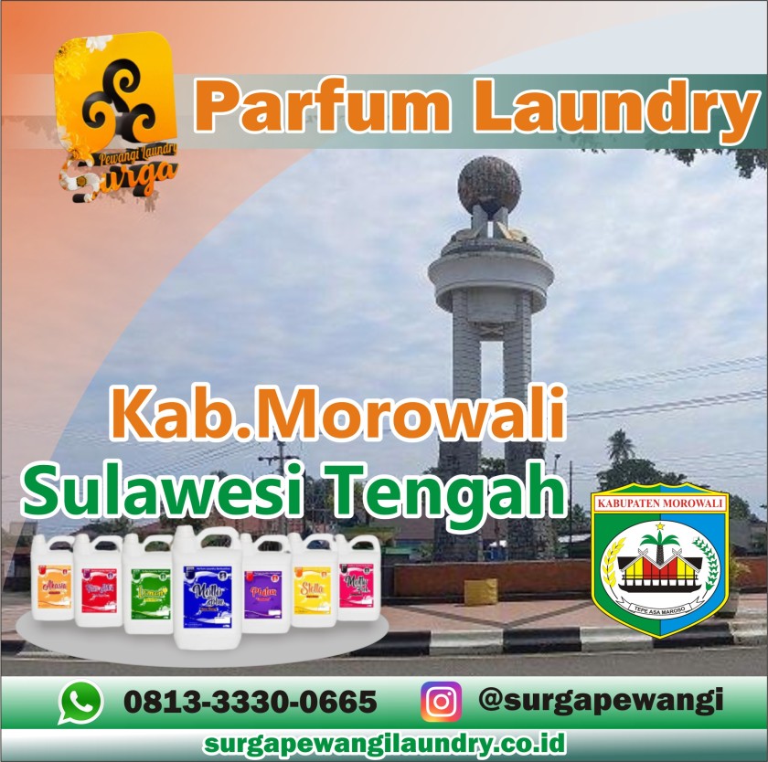 Parfum Laundry Kabupaten Morowali, Sulawesi Tengah