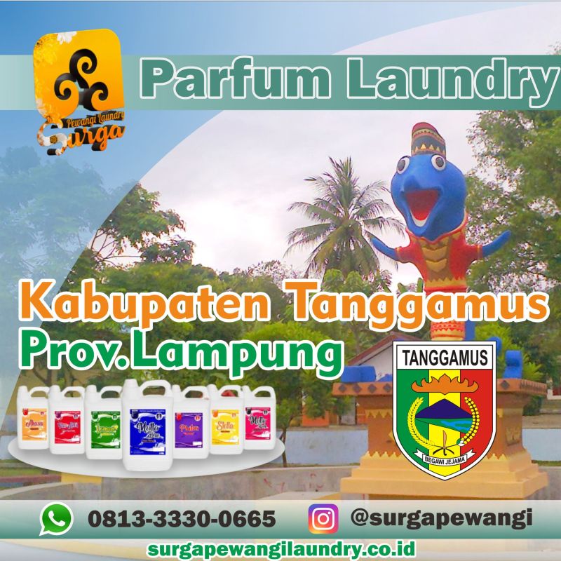 Parfum Laundry Kabupaten Tanggamus