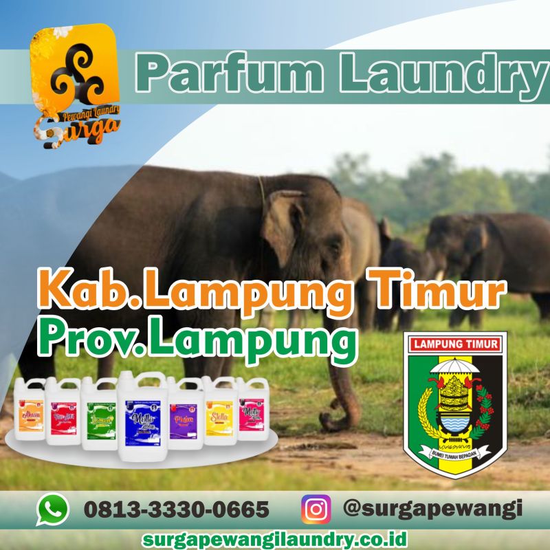 Parfum Laundry Lampung Timur, Prov Lampung